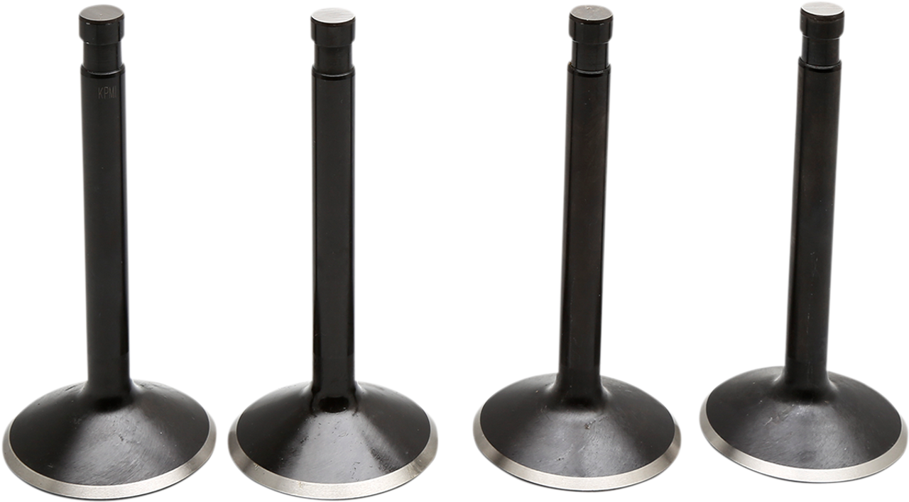 KIBBLEWHITE Valve Kit - Panhead 20-22100