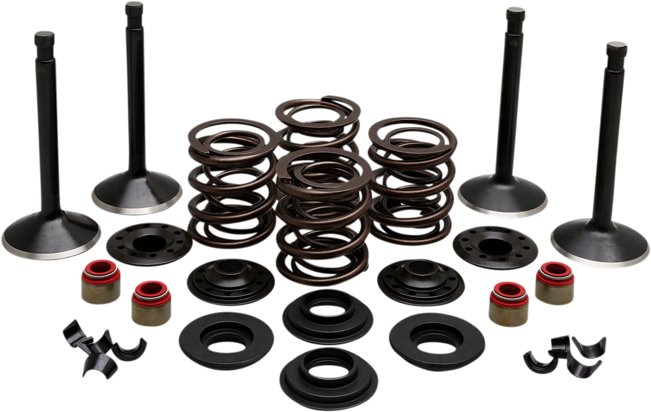 KIBBLEWHITE Engine Kit - Panhead 20-22150