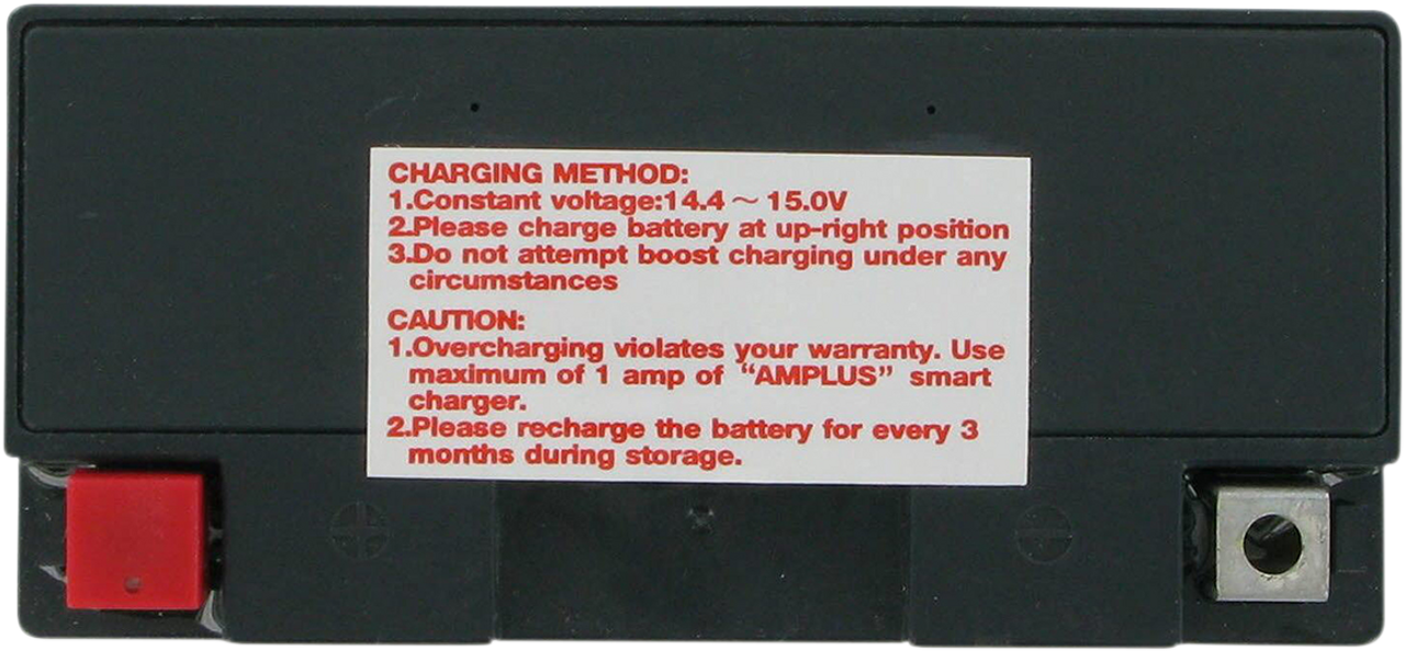 PARTS UNLIMITED AGM Battery - YT9B-4/YT9B-BS CT9B-4