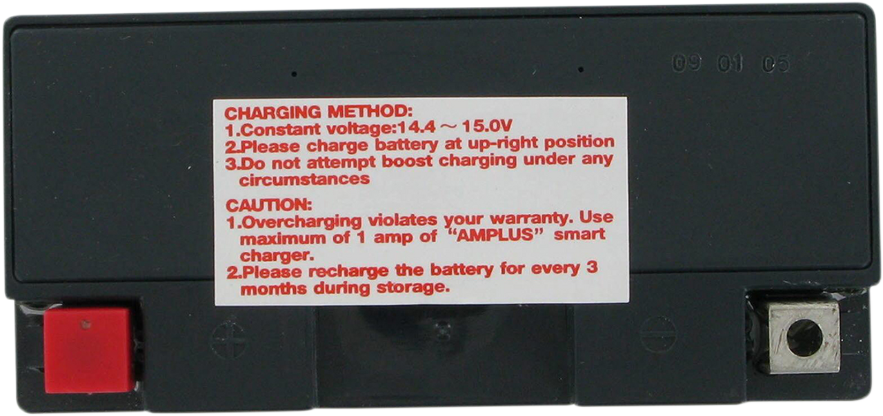 PARTS UNLIMITED AGM Battery - YT14B4 CT14B4