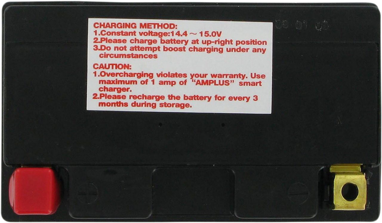 PARTS UNLIMITED AGM Battery - YTZ14S CTZ14S