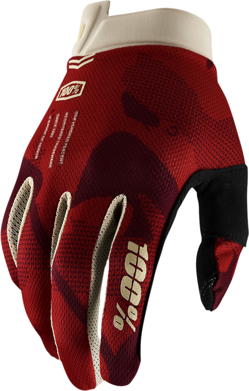 100% iTrack Gloves - Terra - Small 10008-00025