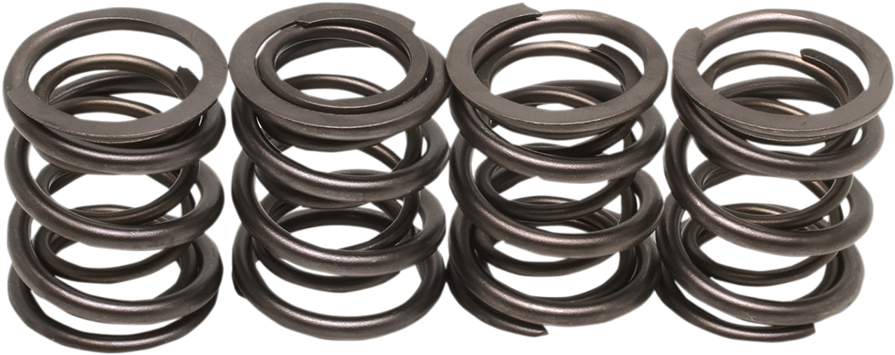 KIBBLEWHITE VALVE SPRINGS 66-84 SHOVELHEAD 20-2000