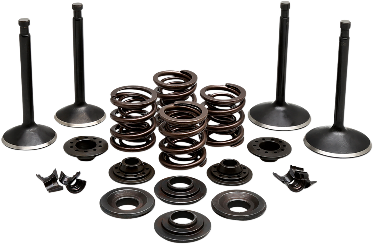 KIBBLEWHITE Complete Valve Kit 20-22350