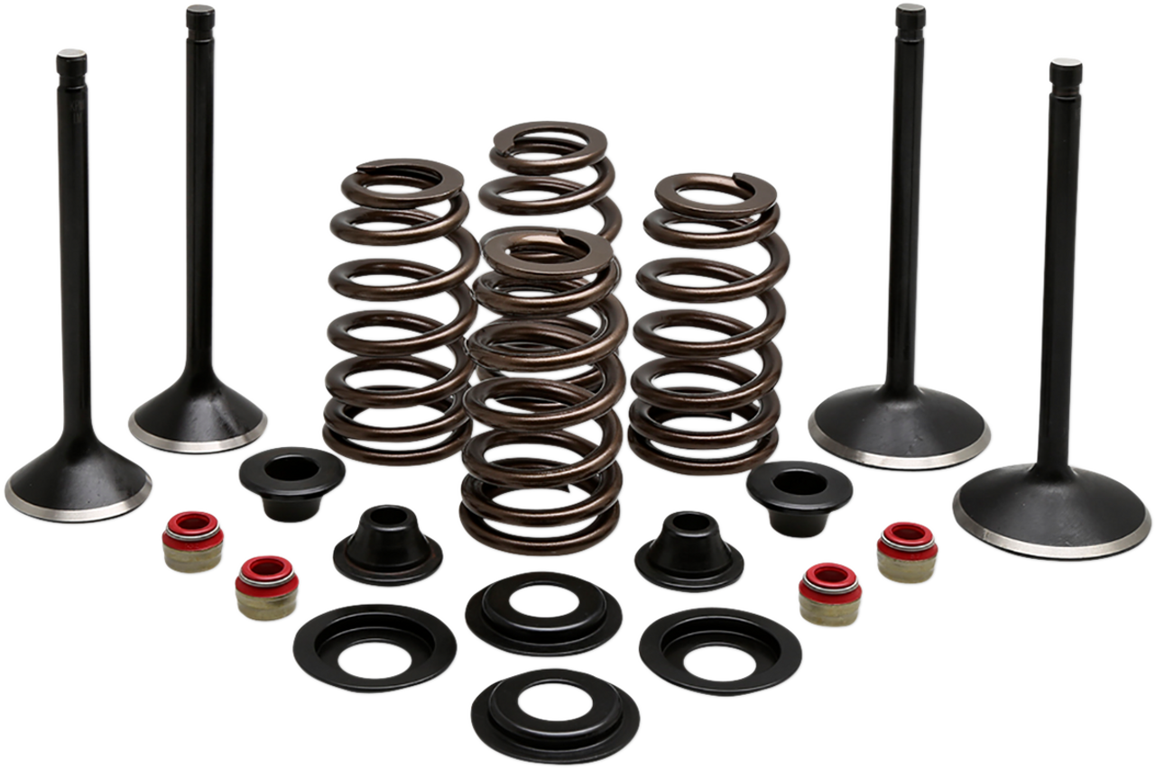 KIBBLEWHITE Complete Valve Kit - Evolution/1200 20-22850