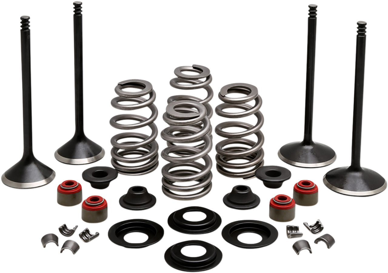 KIBBLEWHITE Complete Valve Kit - Evolution/1200 20-22950