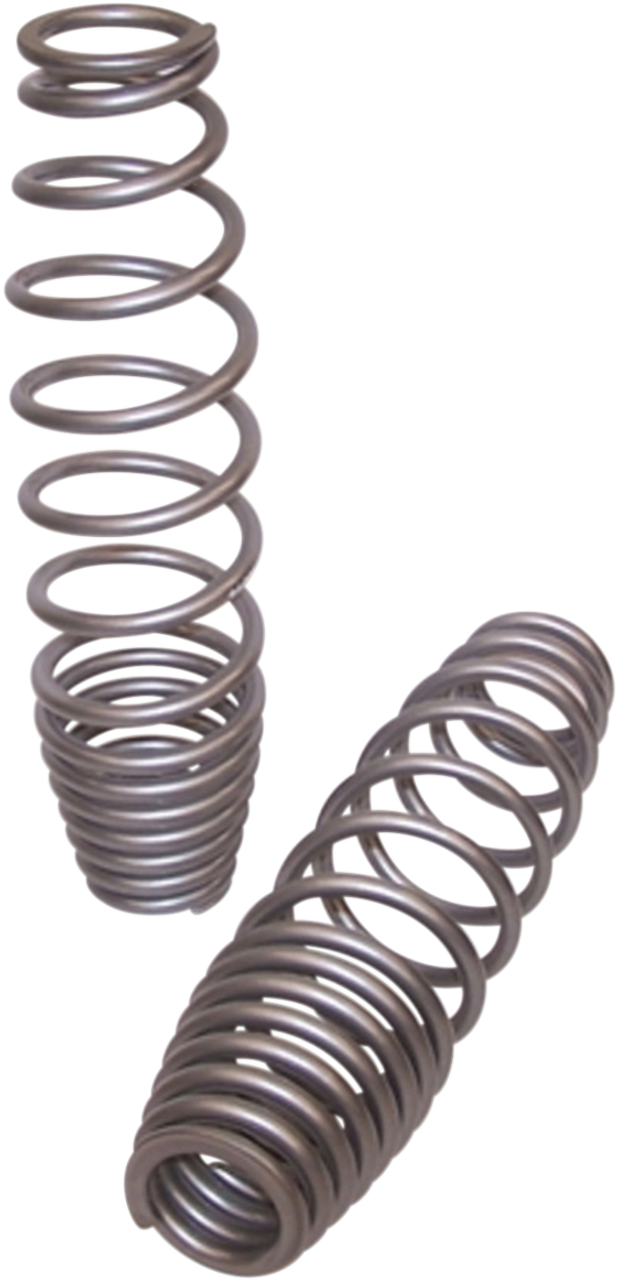 HIGHLIFTER Front Shock Springs - Silver 79-13814