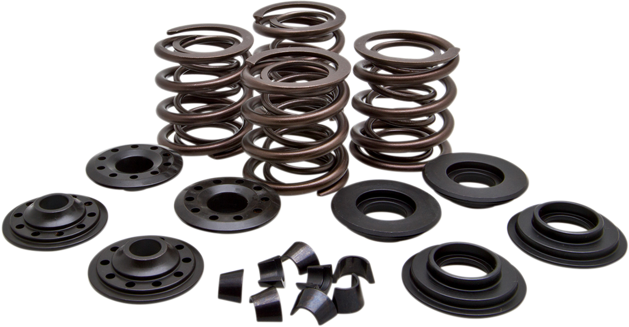 KIBBLEWHITE Valve Spring Kit 20-20450