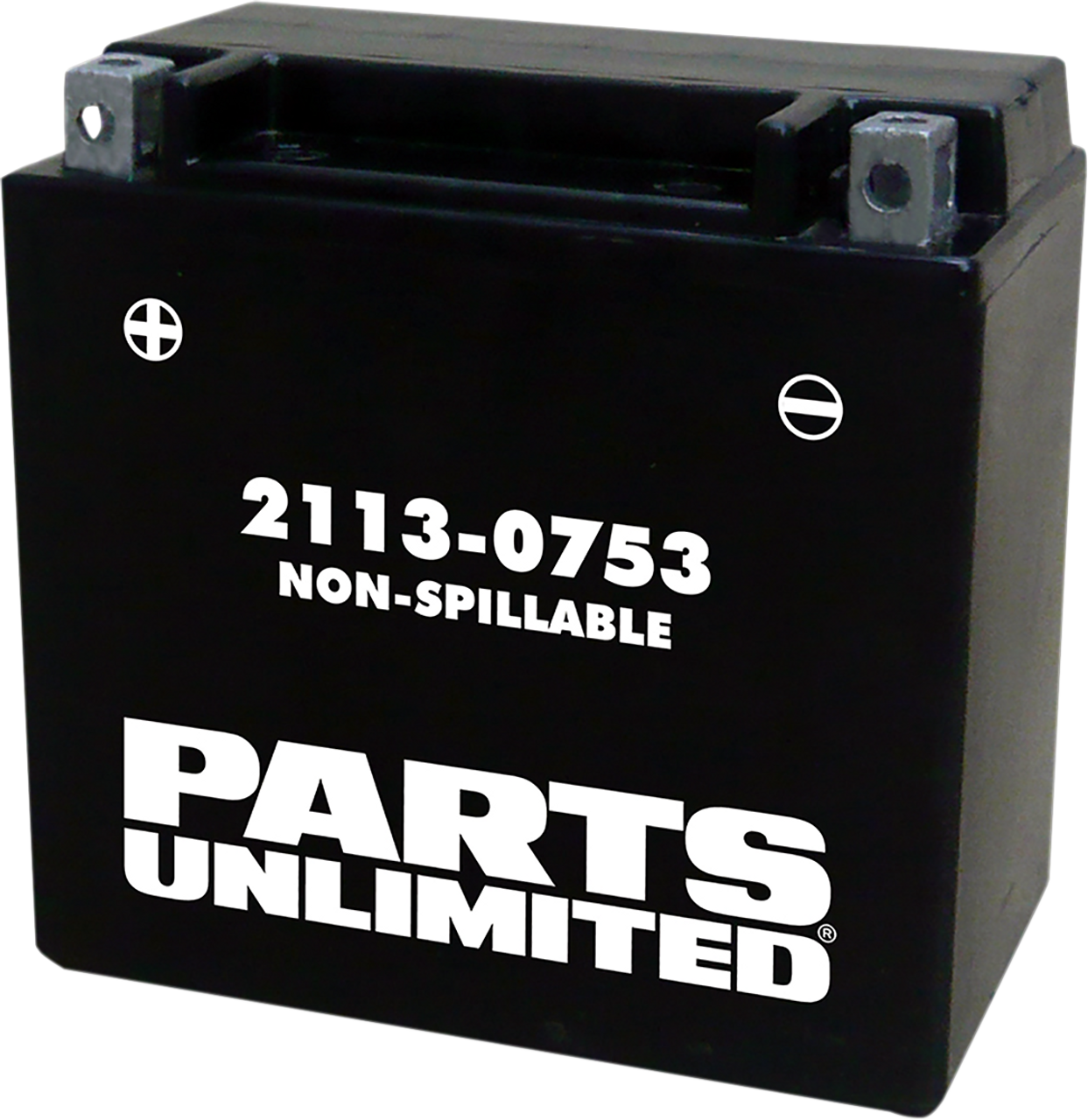 PARTS UNLIMITED AGM Battery - YTX14 CTX14